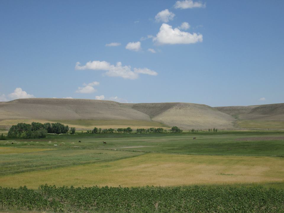 Horasan Kırkgözeler Köyü Resimleri 5