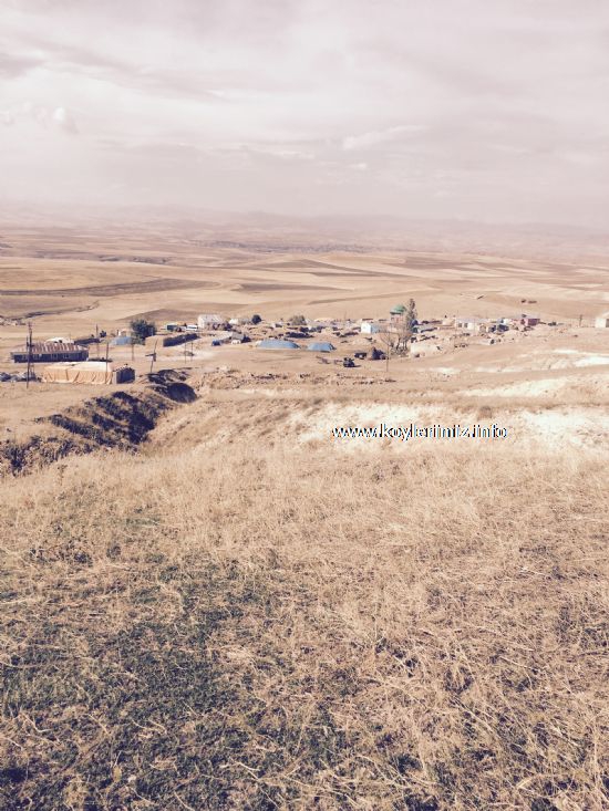 Horasan Pınarlı Köyü Resimleri 2