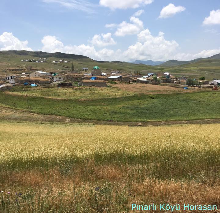 Horasan Pınarlı Köyü Resimleri 3