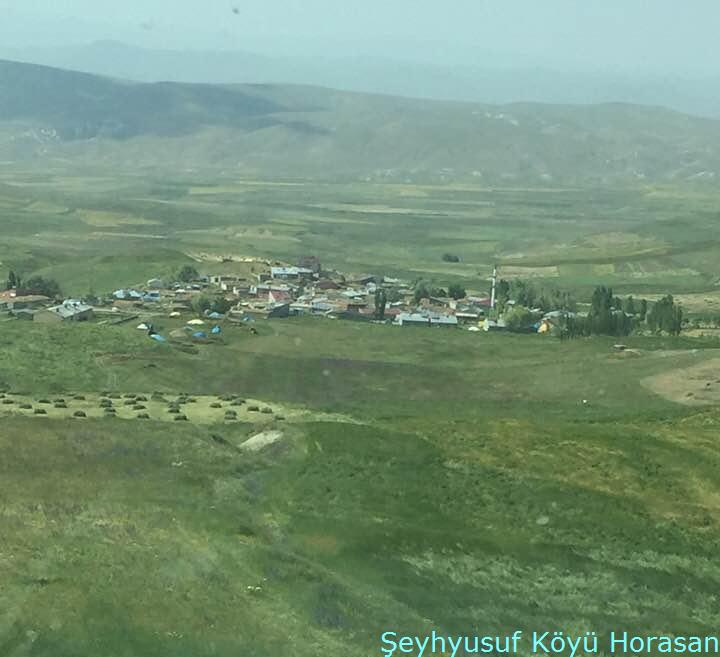 Horasan Şeyhyusuf Köyü Resimleri 3