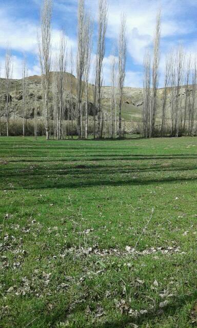 Horasan Yeşildere Köyü Resimleri 1