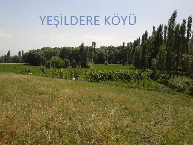 Horasan Yeşildere Köyü Resimleri 4