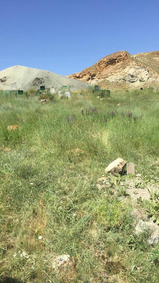 Horasan Yeşildere Köyü Resimleri 5