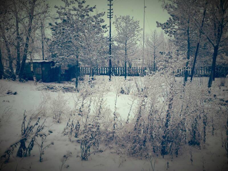 Horasan Yeşildere Köyü Resimleri 7