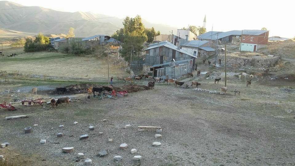 İspir Akpınar Köyü Resimleri 9