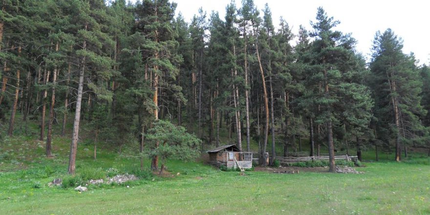 İspir Aktaş Köyü Resimleri