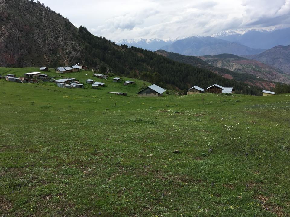 İspir Araköy Köyü Resimleri 6