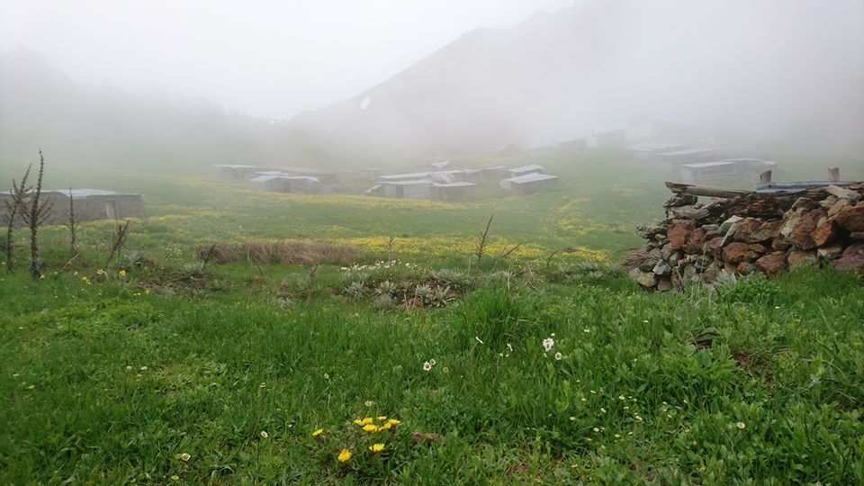 İspir Ardıçlı Köyü Resimleri 4