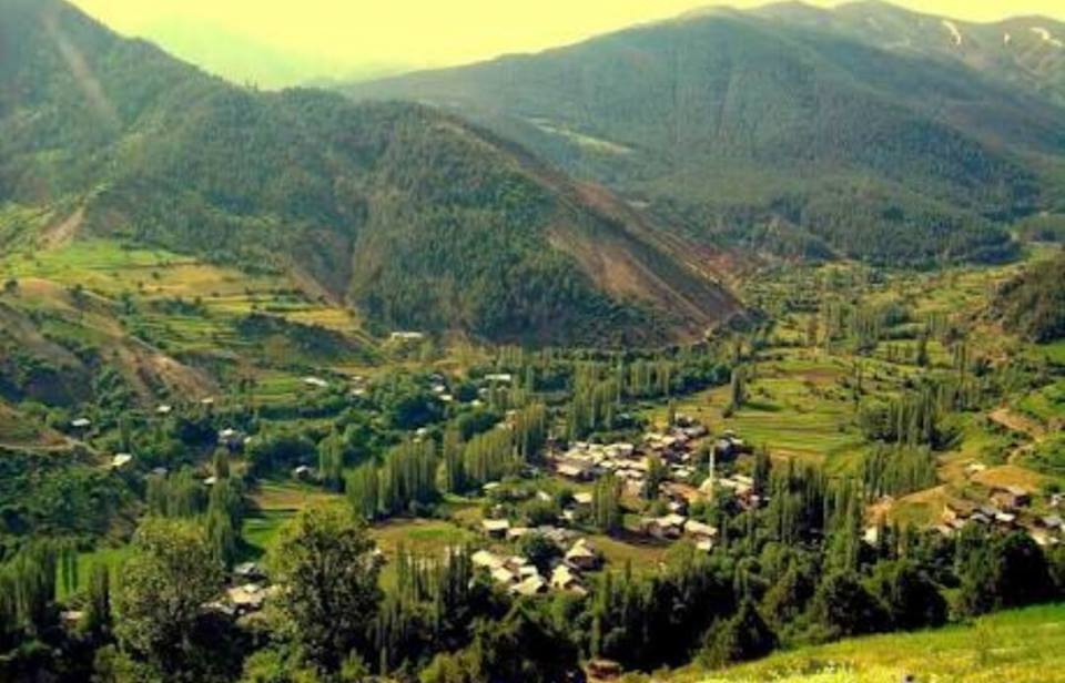 İspir Ardıçlı Köyü Resimleri 5