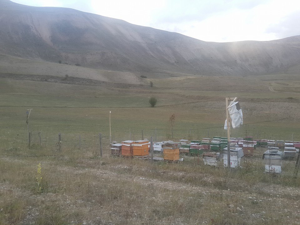 İspir Atürküten Köyü Resimleri 3