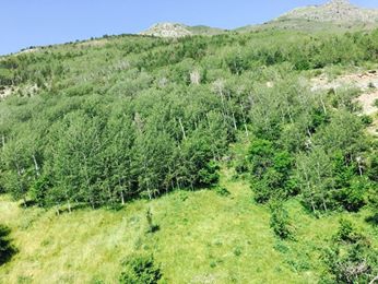 İspir Bahçeli Köyü Resimleri 8