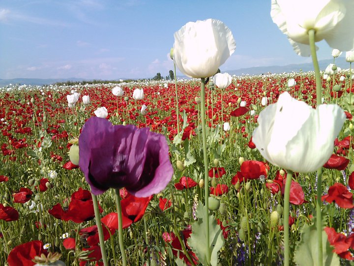 Afyon Sandıklı Ürküt Köyü Resimleri 2