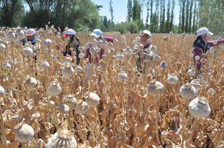 Afyon Sandıklı Ürküt Köyü Resimleri 3