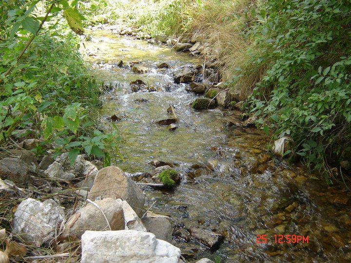 İspir Bozan Köyü Resimleri 3