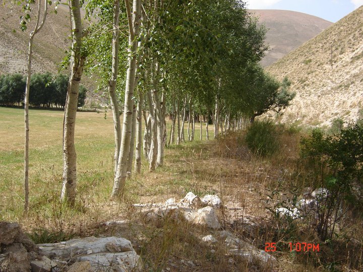 İspir Bozan Köyü Resimleri 4