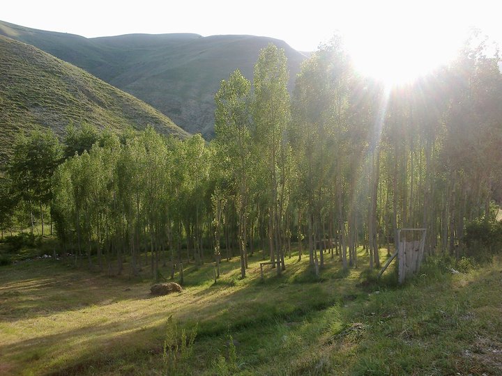 İspir Bozan Köyü Resimleri 6