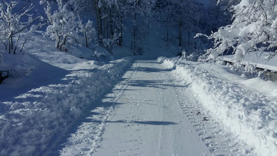 İspir Cankurtaran Köyü Resimleri 2