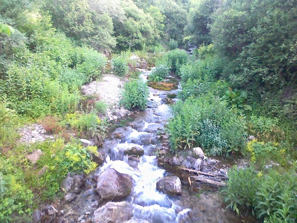 İspir Cankurtaran Köyü Resimleri 4