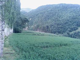 İspir Cankurtaran Köyü Resimleri 5