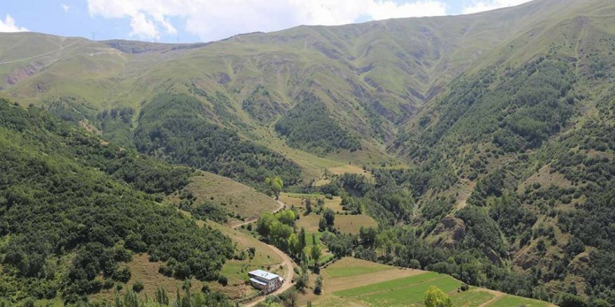 İspir Cankurtaran Köyü Resimleri