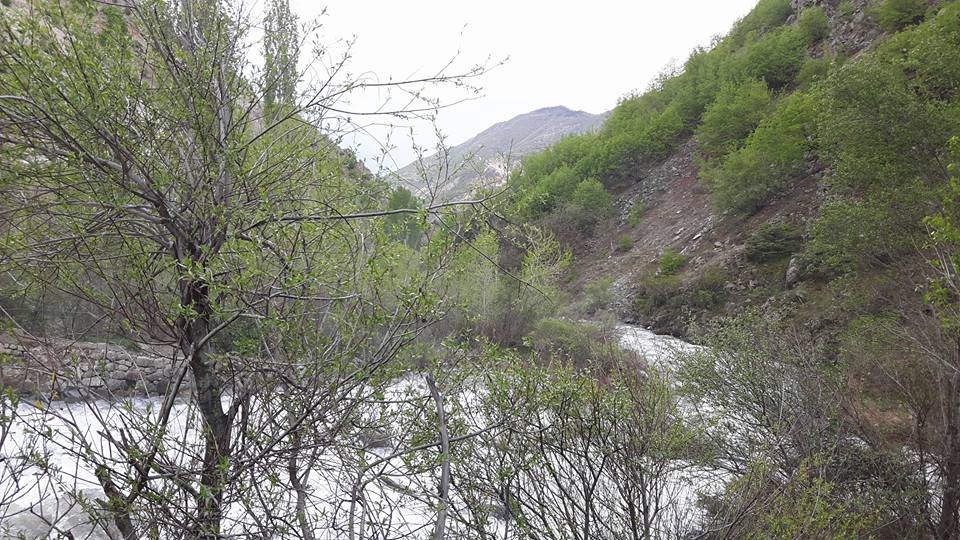 İspir Çamlıkaya Köyü Resimleri 7