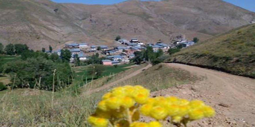 İspir Çayırbaşı Köyü Resimleri