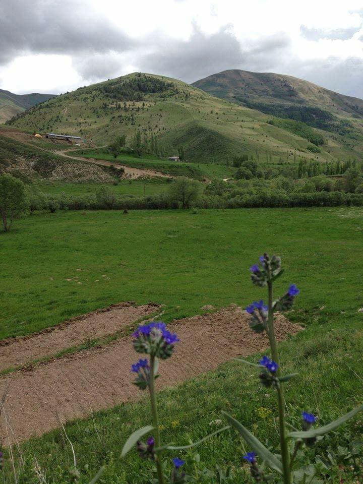 İspir Değirmendere Köyü Resimleri 1