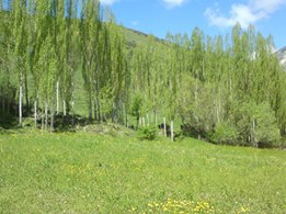 İspir Değirmendere Köyü Resimleri 5