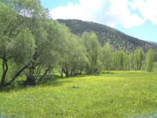 İspir Değirmendere Köyü Resimleri 6