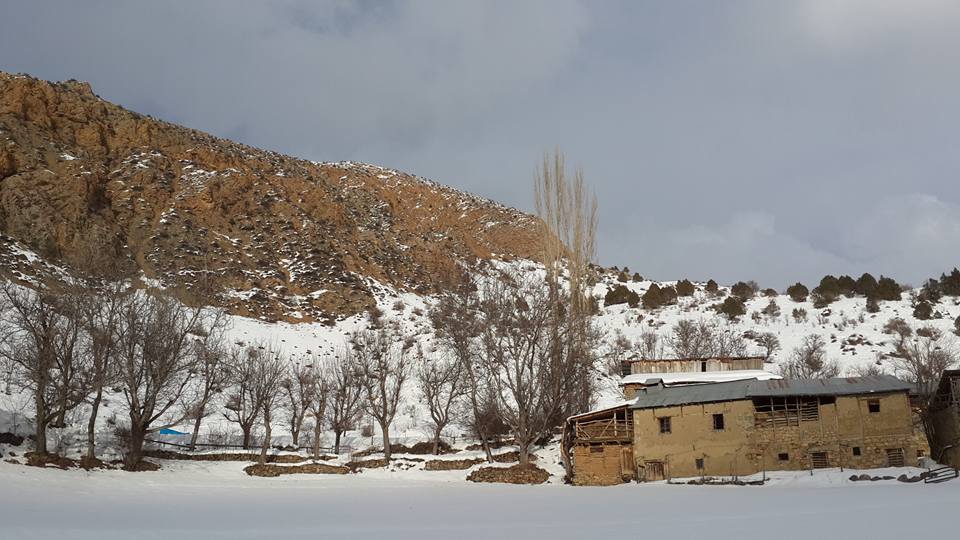 İspir Demirkaya Köyü Resimleri 6