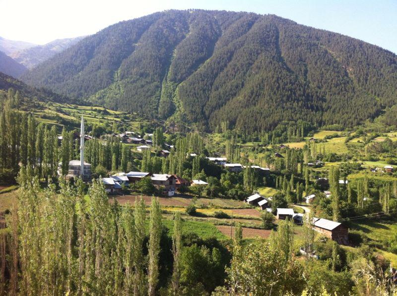 İspir Devedağı Köyü Resimleri 1