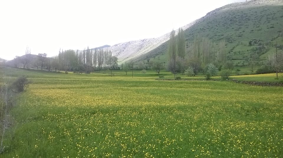 İspir Düzköy Köyü Resimleri 8