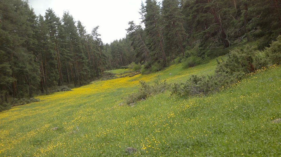 İspir Geçitağzı Köyü Resimleri 7