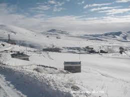 İspir Gölyurt Köyü Resimleri 8