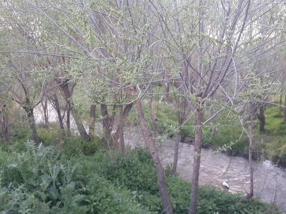 Afyon Sinanpaşa Ayvalı Köyü Resimleri 29