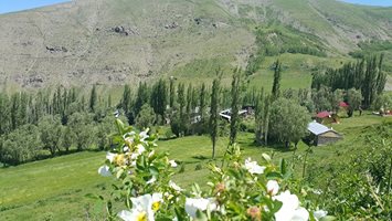 İspir Gündoğdu Köyü Resimleri 1