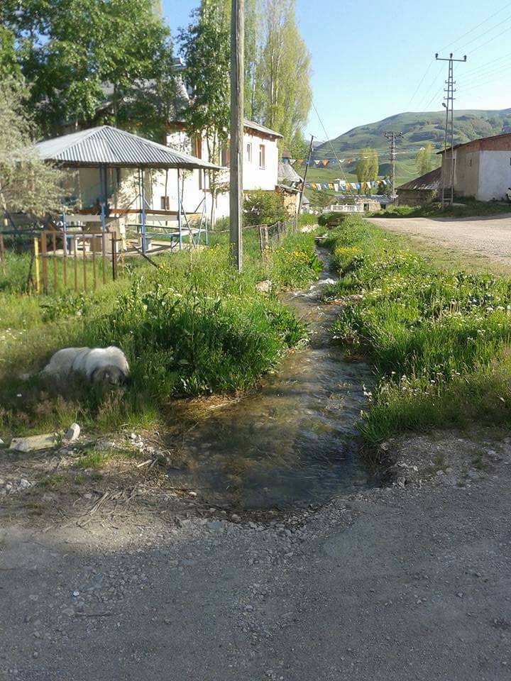 İspir Güney Köyü Resimleri 6