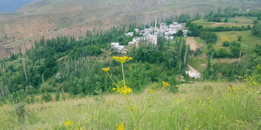 İspir Halilpaşa Köyü Resimleri