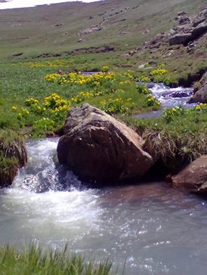 Ağrı Merkez Cumaçay Köyü Resimleri 1