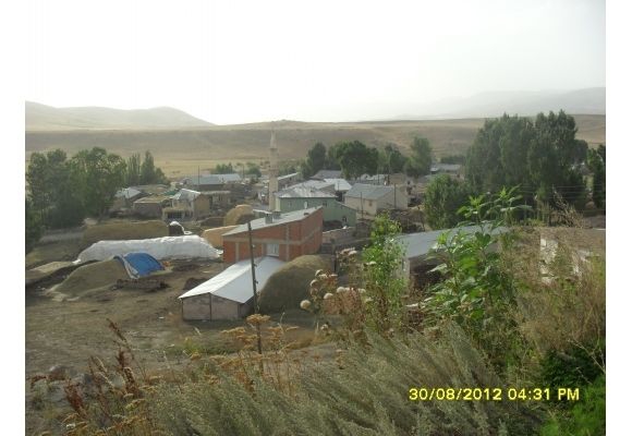 Ağrı Merkez Cumaçay Köyü Resimleri 3