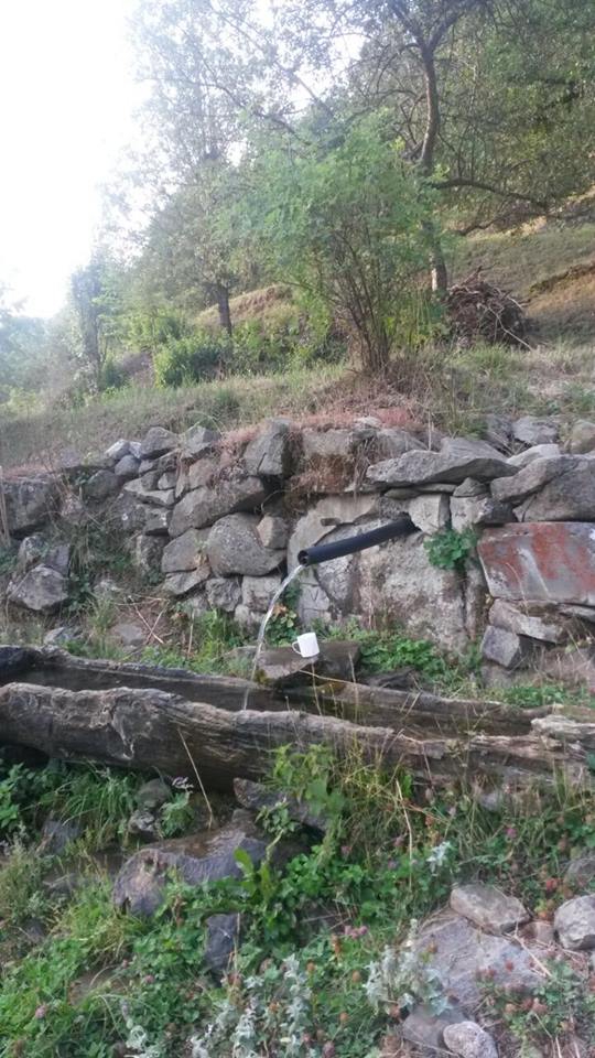 İspir Üzümbağı Köyü Resimleri 5