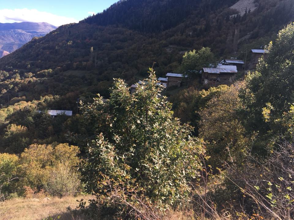 İspir Üzümbağı Köyü Resimleri 6