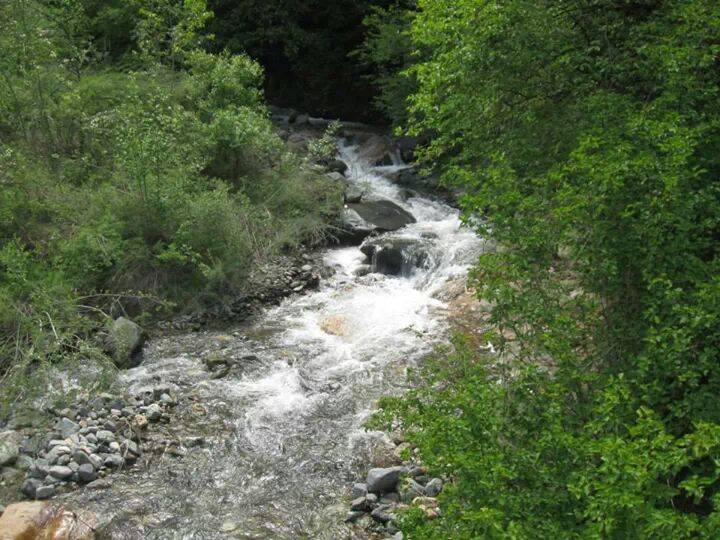 İspir Üzümbağı Köyü Resimleri 8