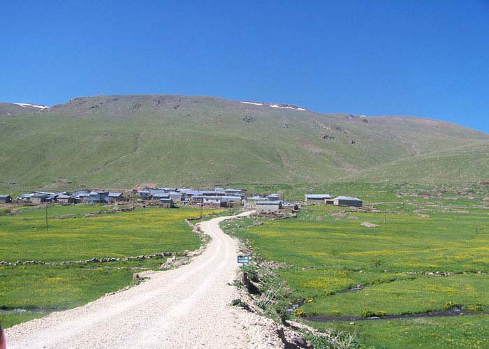 İspir Yağlı Köyü Resimleri 10