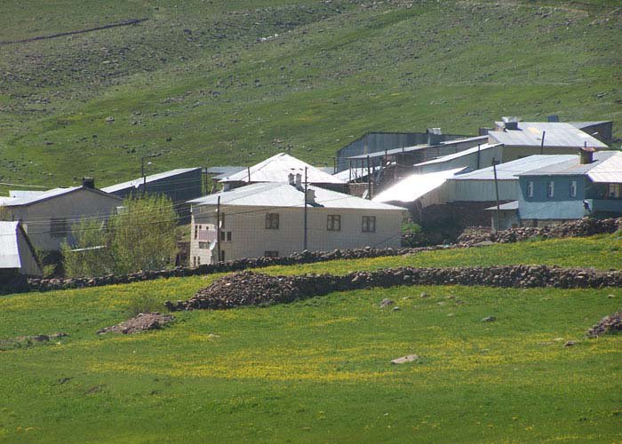 İspir Yağlı Köyü Resimleri 8