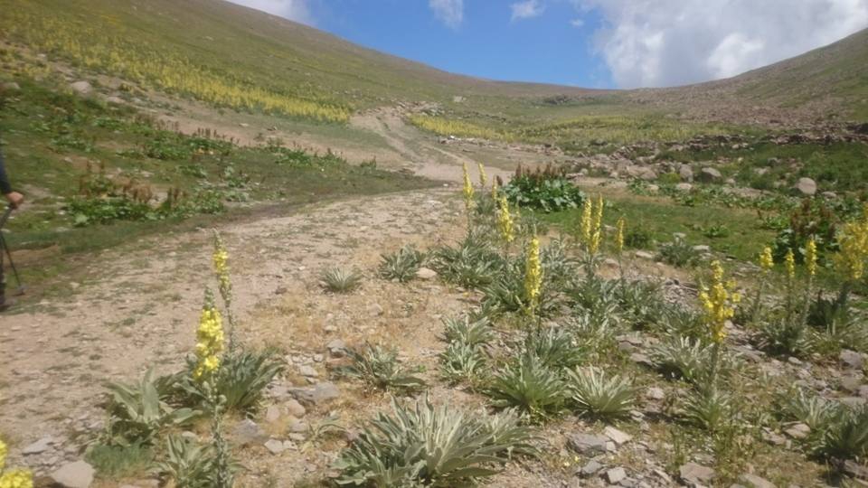 İspir Yağlı Köyü Resimleri 9