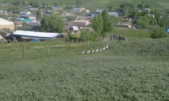 Ağrı Merkez Tezeren Köyü Resimleri 13