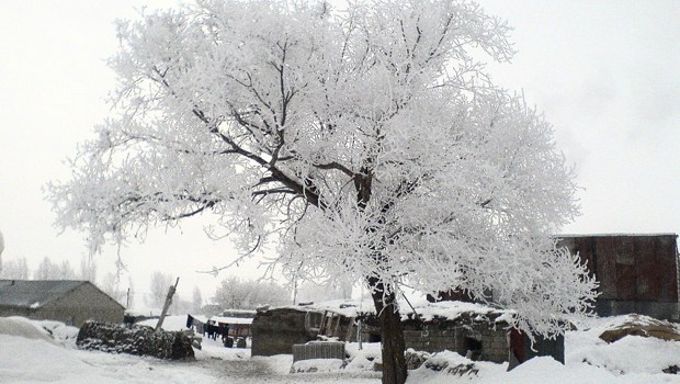 Ağrı Merkez Tezeren Köyü Resimleri 18