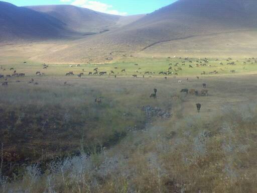Karaçoban Budaklı Köyü Resimleri 5