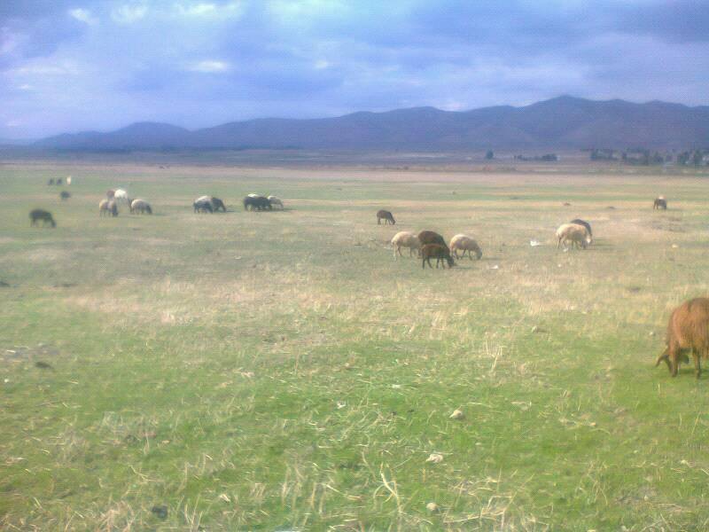 Karaçoban Budaklı Köyü Resimleri 9